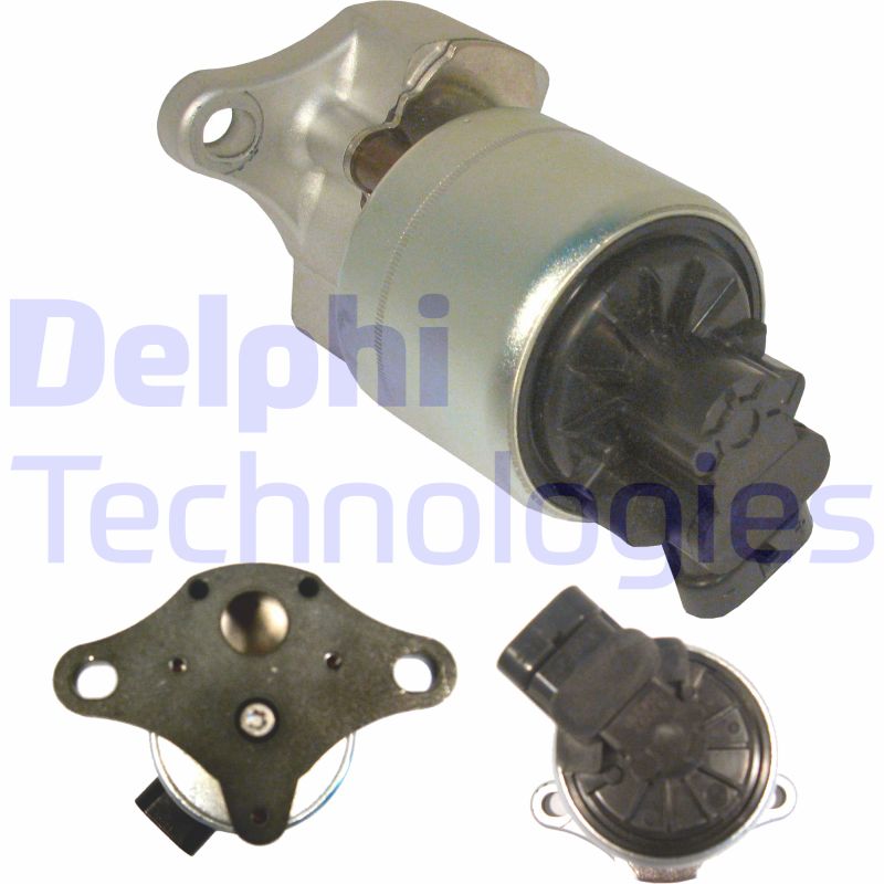 EGR-klep Delphi Diesel EG10256-12B1