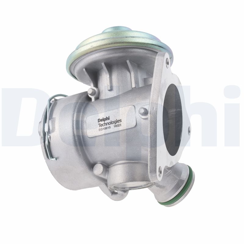 Delphi Diesel EGR-klep EG10615-12B1