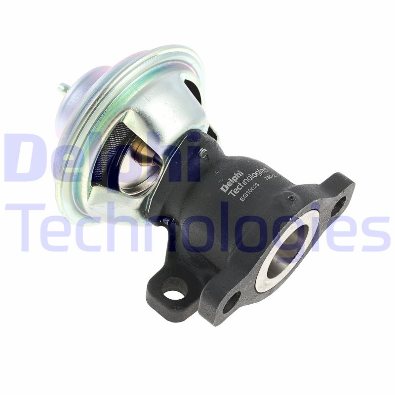 Delphi Diesel EGR-klep EG10623-12B1