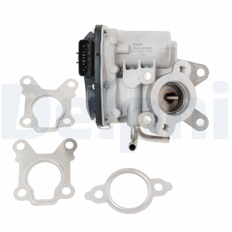 Delphi Diesel EGR-klep EG10636-12B1