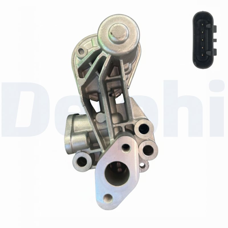 Delphi Diesel EGR-klep EG10655-12B1