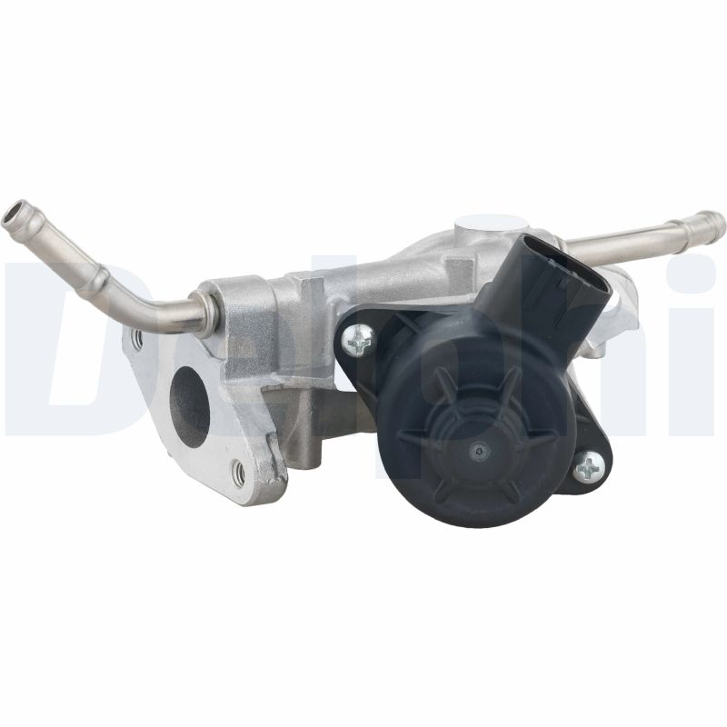 Delphi Diesel EGR-klep EG10738-12B1