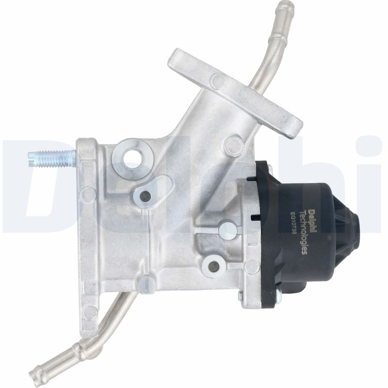 Delphi Diesel EGR-klep EG10738-12B1
