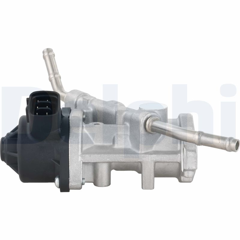 Delphi Diesel EGR-klep EG10738-12B1