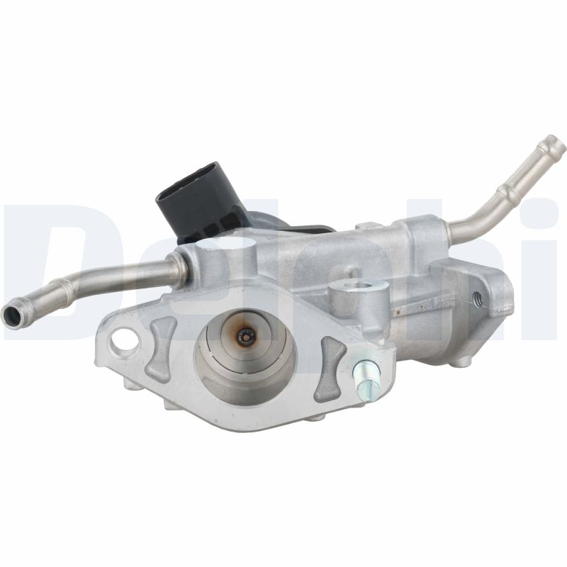 Delphi Diesel EGR-klep EG10738-12B1