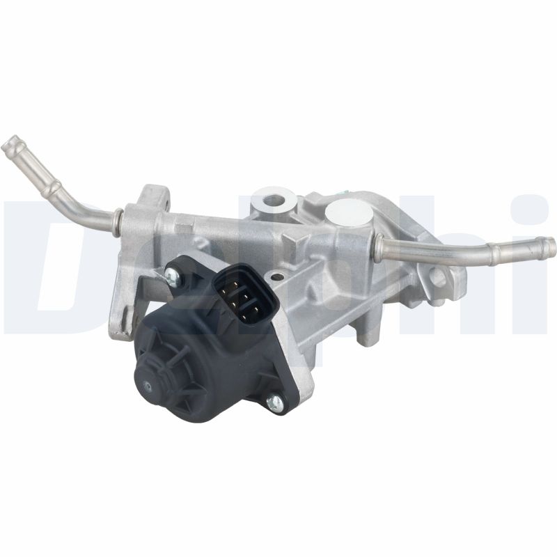 Delphi Diesel EGR-klep EG10738-12B1