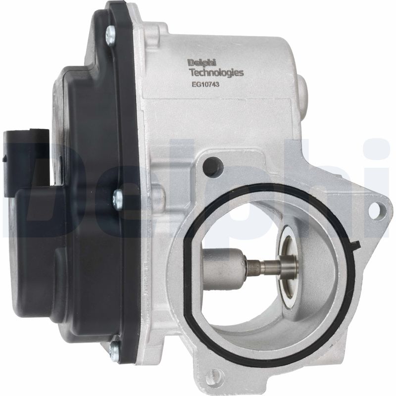 Delphi Diesel EGR-klep EG10743-12B1