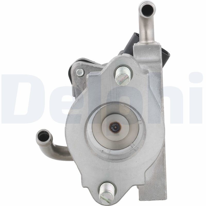 Delphi Diesel EGR-klep EG10758-12B1