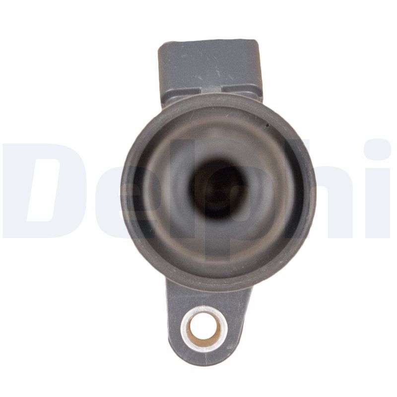 Delphi Diesel Bobine GN10313-12B1