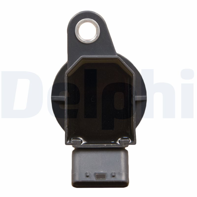 Delphi Diesel Bobine GN10313-12B1