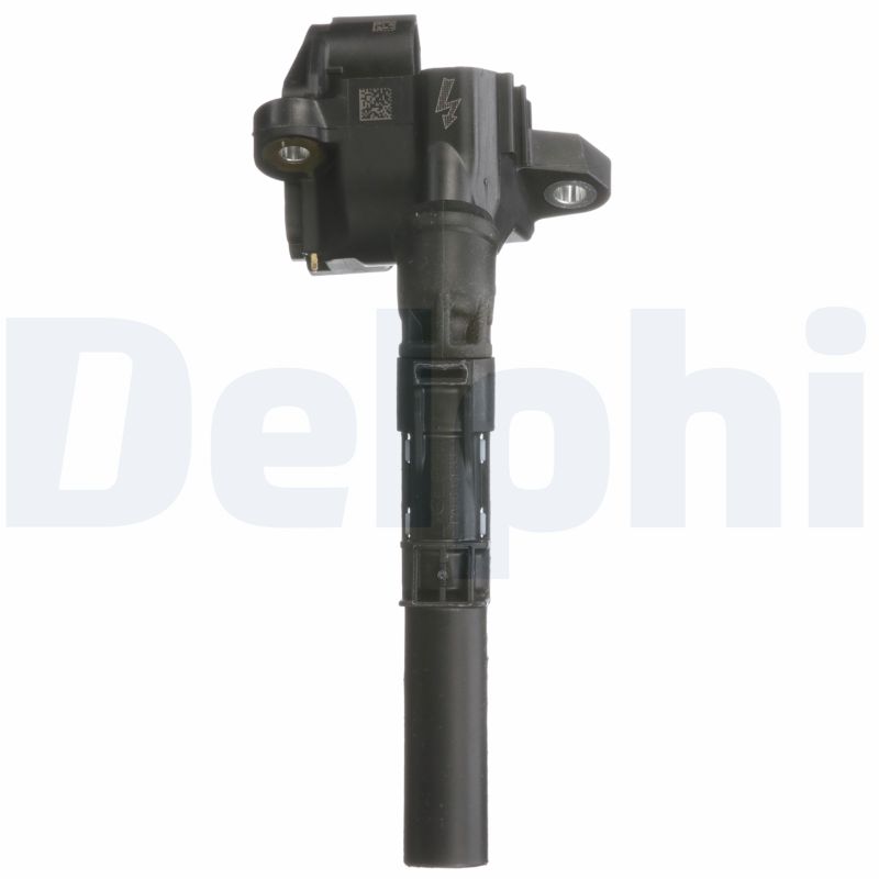Delphi Diesel Bobine GN10691-12B1