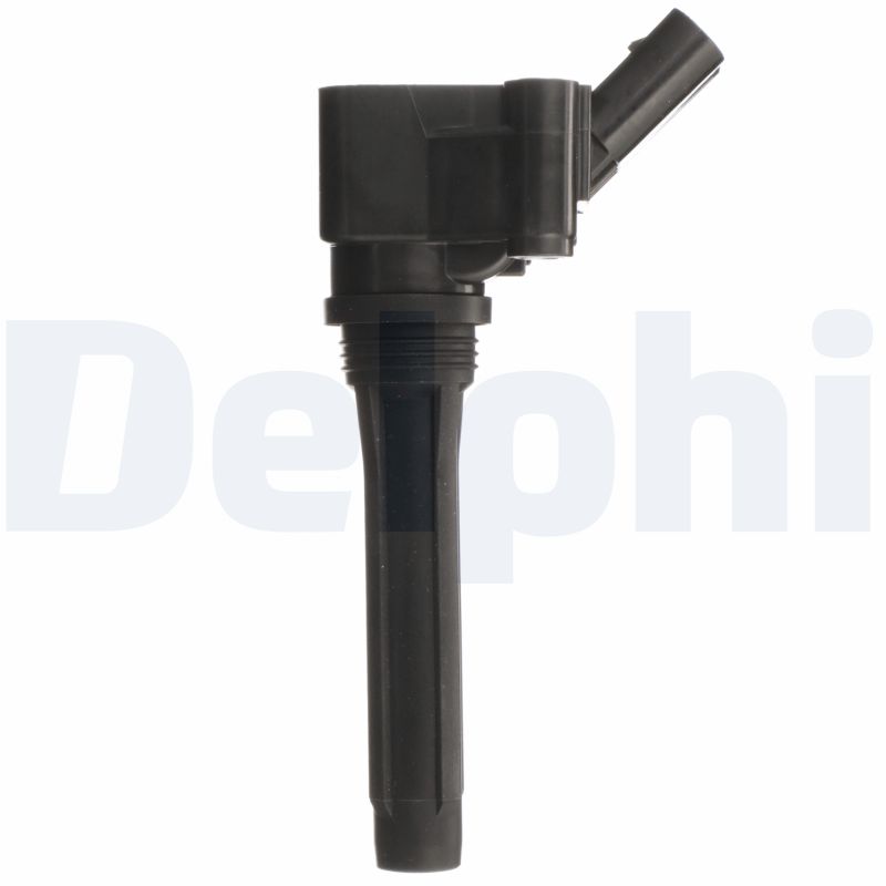 Delphi Diesel Bobine GN10958-12B1