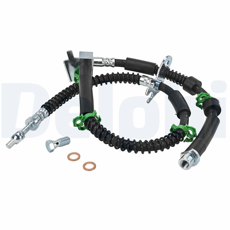 Delphi Diesel Remslang LH7971