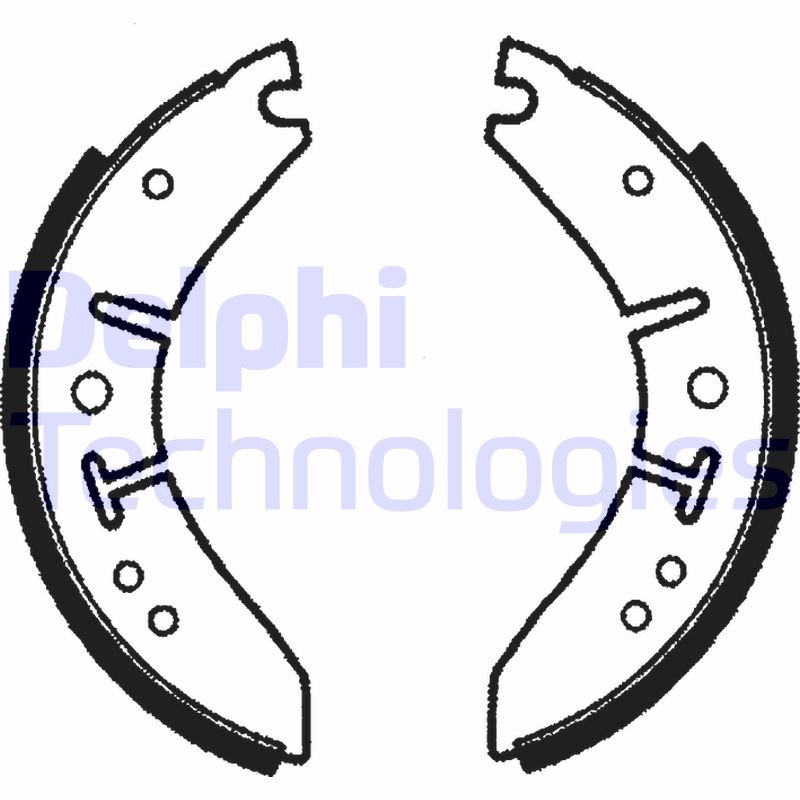 Remschoen set Delphi Diesel LS1003
