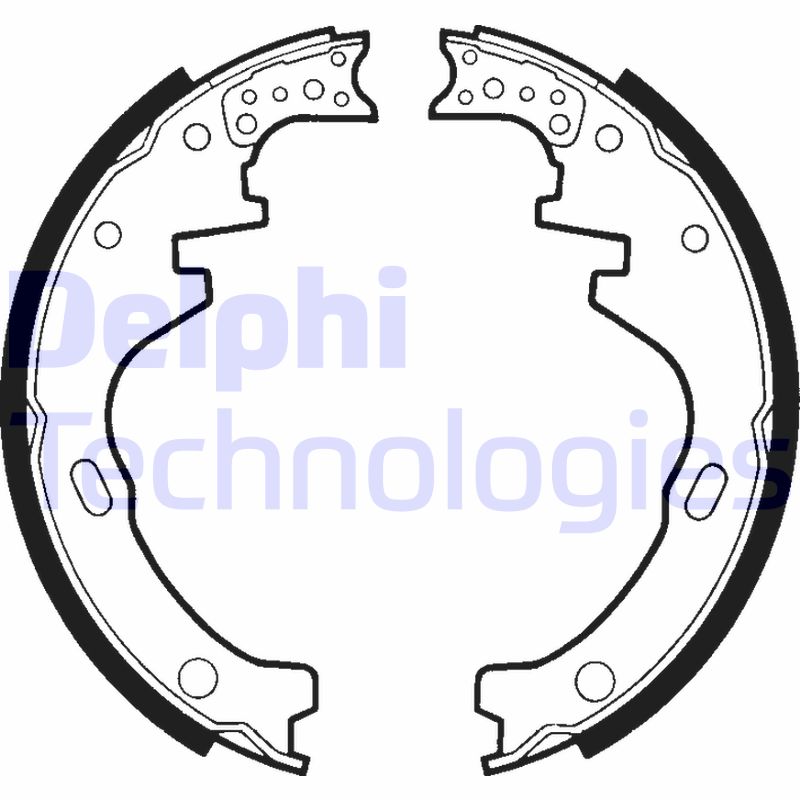 Remschoen set Delphi Diesel LS1366