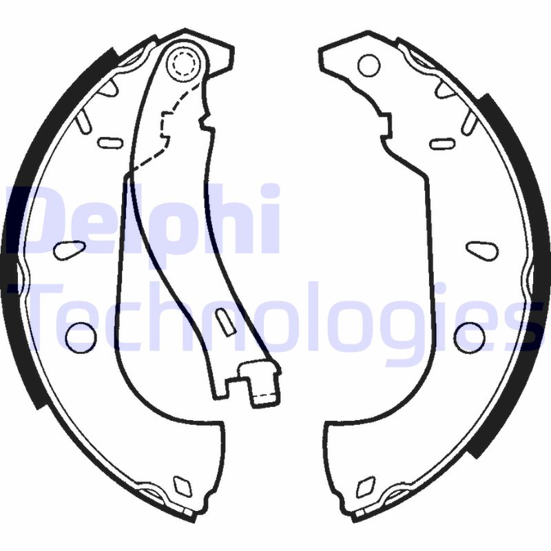 Remschoen set Delphi Diesel LS1379