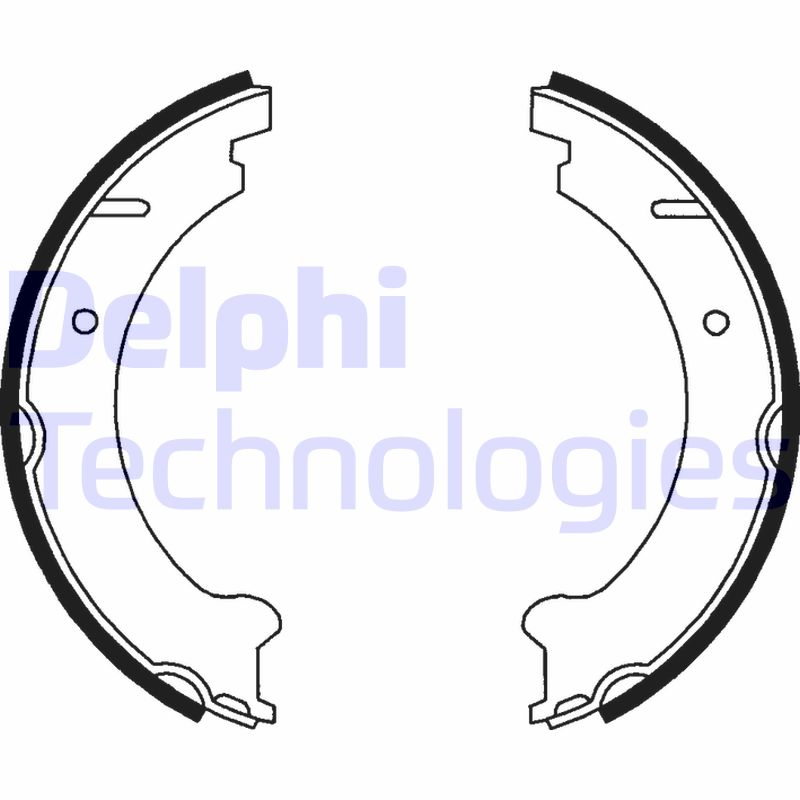 Remschoen set Delphi Diesel LS1781