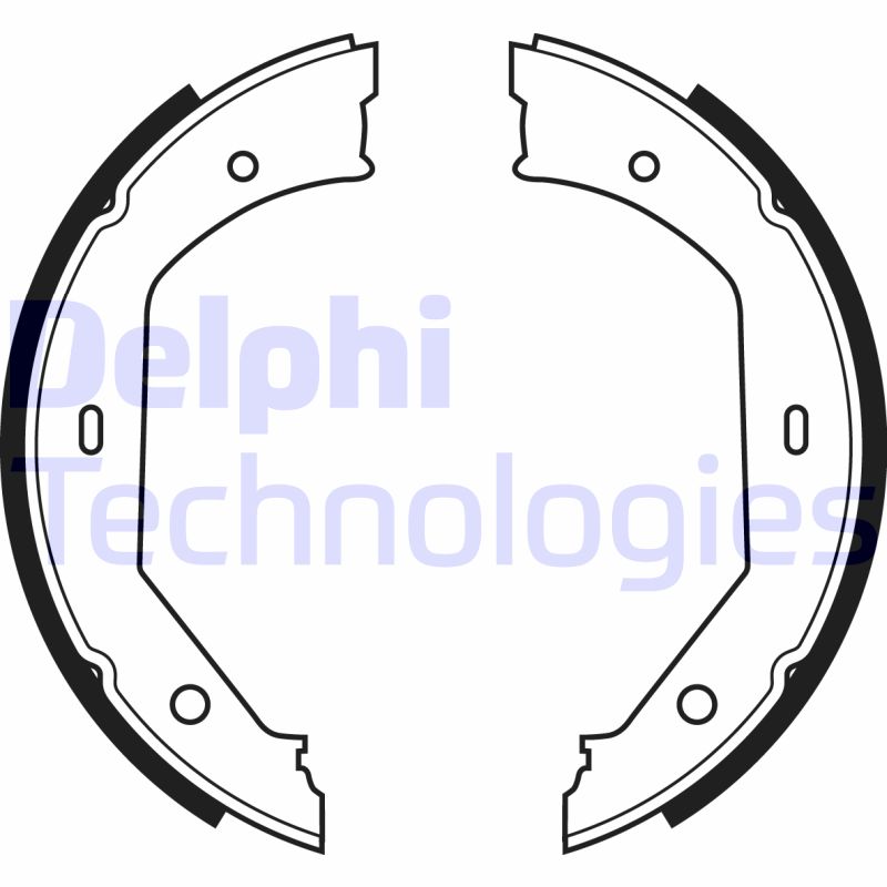Remschoen set Delphi Diesel LS1857