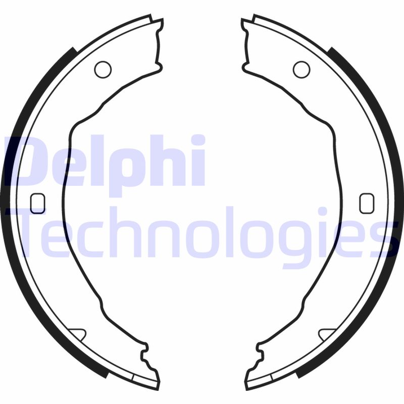 Remschoen set Delphi Diesel LS1881
