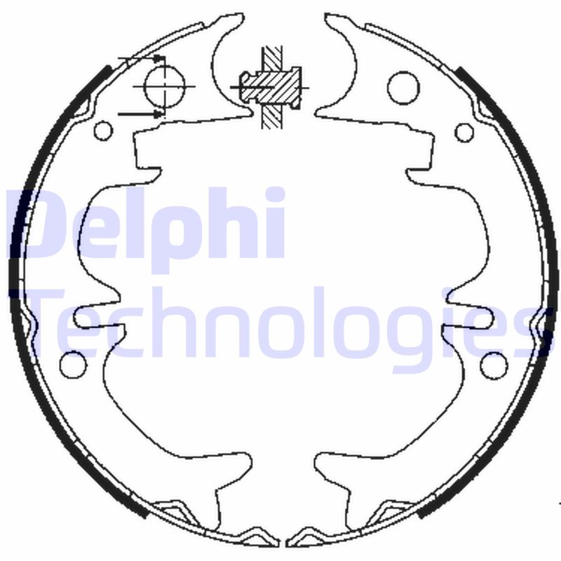 Remschoen set Delphi Diesel LS1901