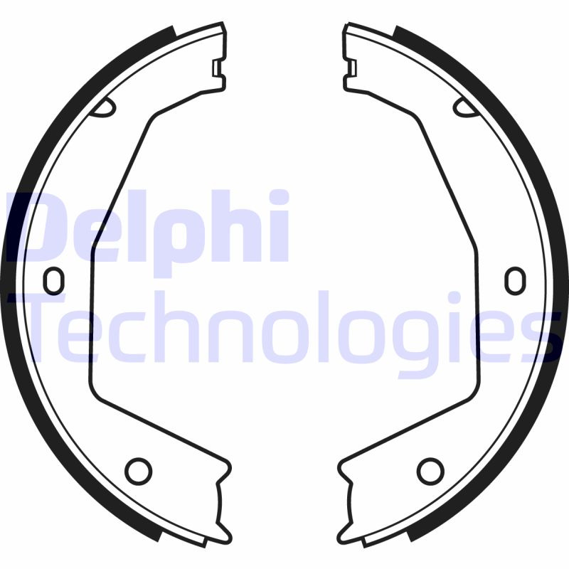 Remschoen set Delphi Diesel LS1954
