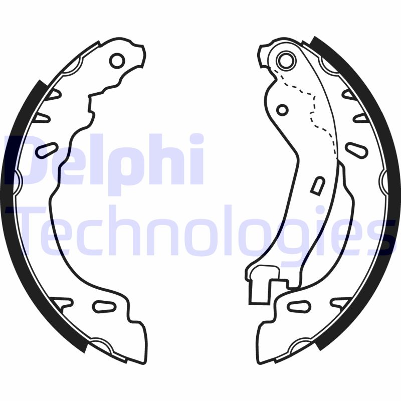 Remschoen set Delphi Diesel LS1971