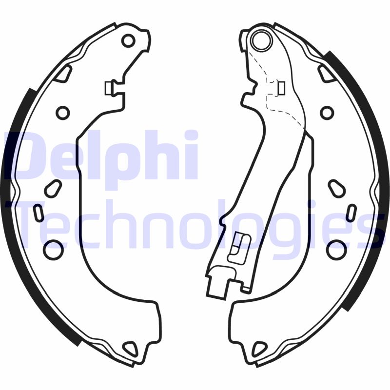 Remschoen set Delphi Diesel LS1979