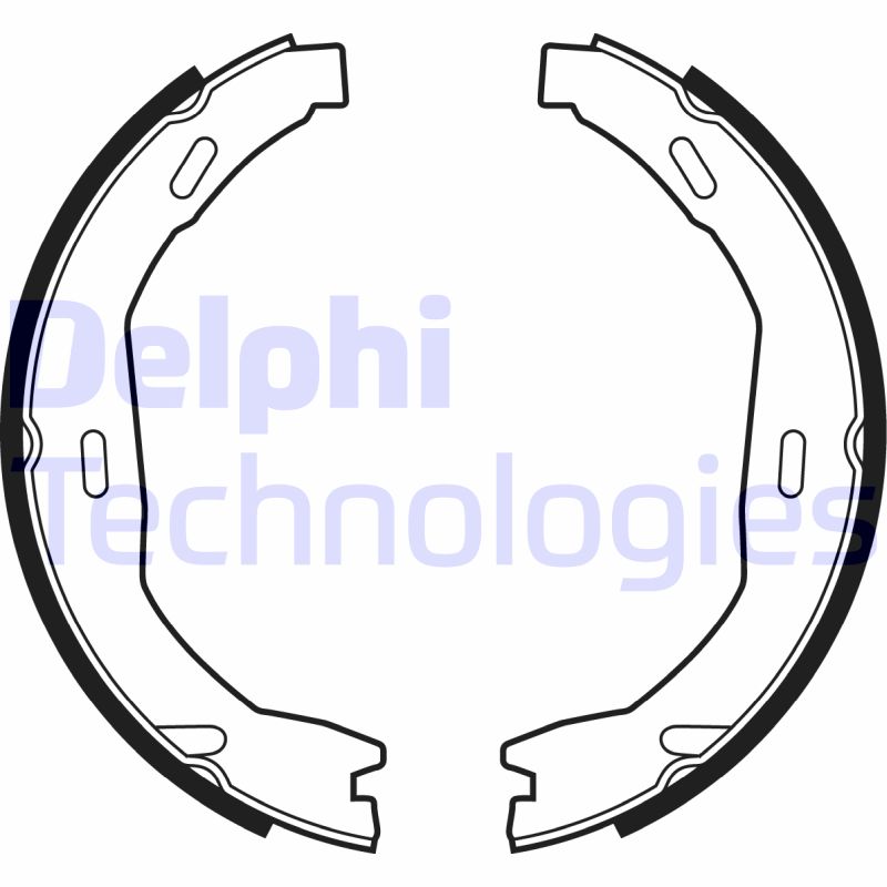 Remschoen set Delphi Diesel LS2006