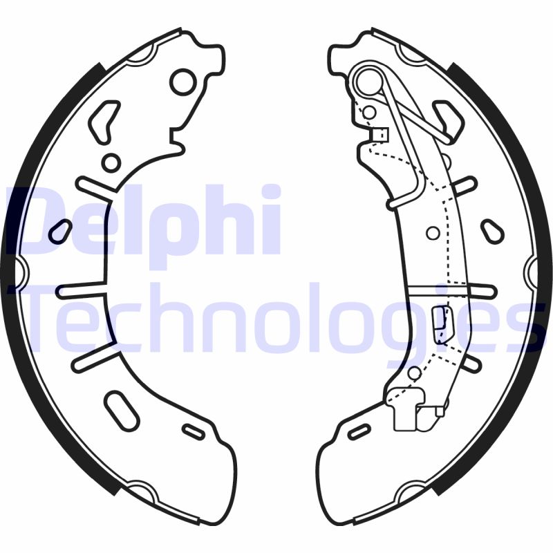 Remschoen set Delphi Diesel LS2050