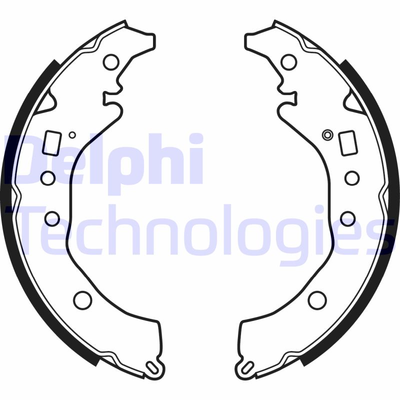 Remschoen set Delphi Diesel LS2079