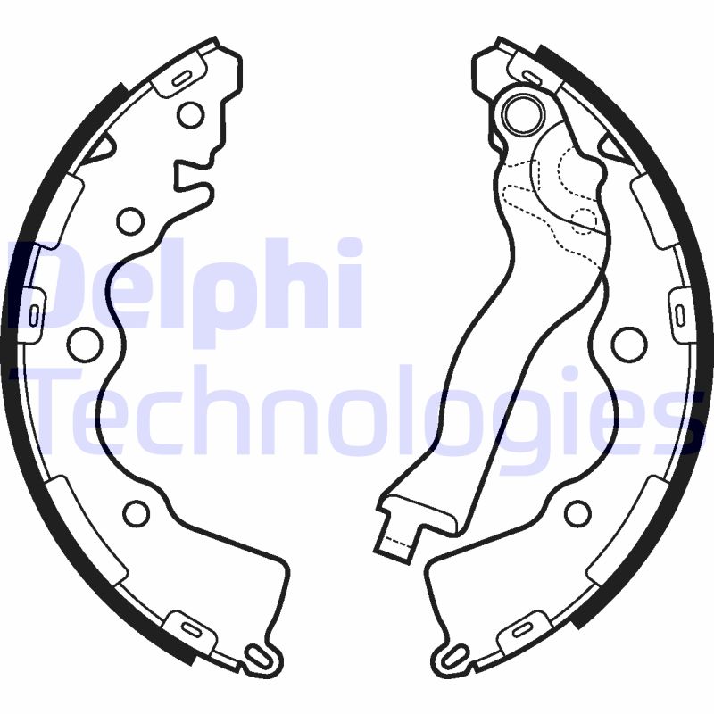 Remschoen set Delphi Diesel LS2110