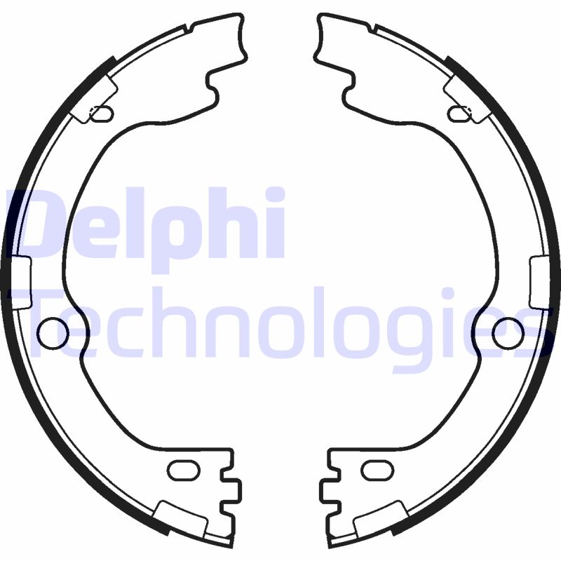 Remschoen set Delphi Diesel LS2119