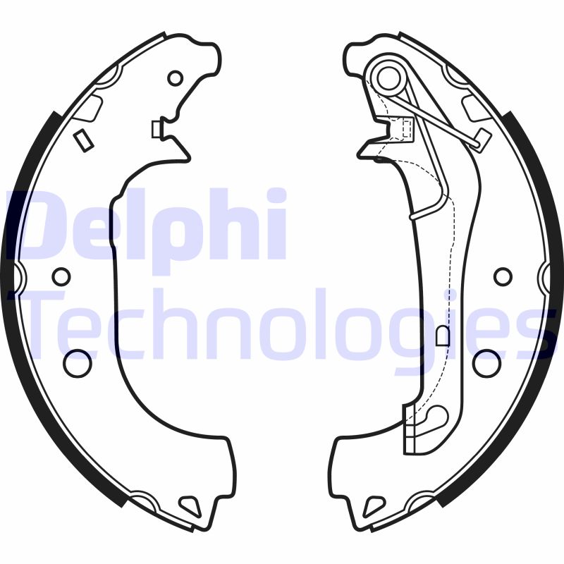 Remschoen set Delphi Diesel LS2157