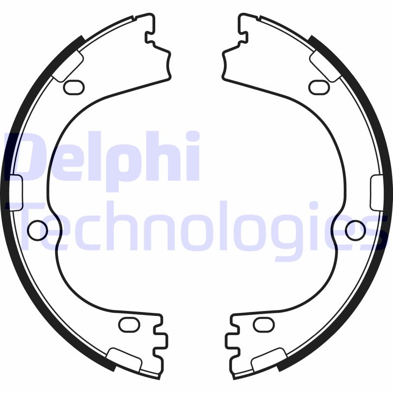 Remschoen set Delphi Diesel LS2166