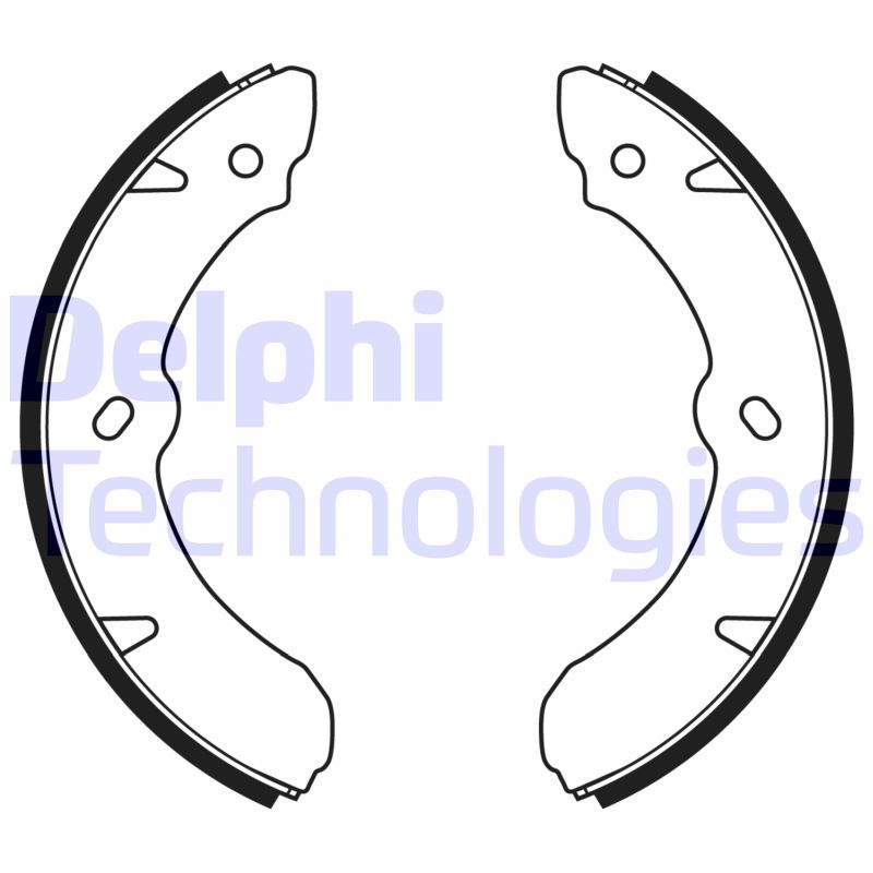 Remschoen set Delphi Diesel LS2177