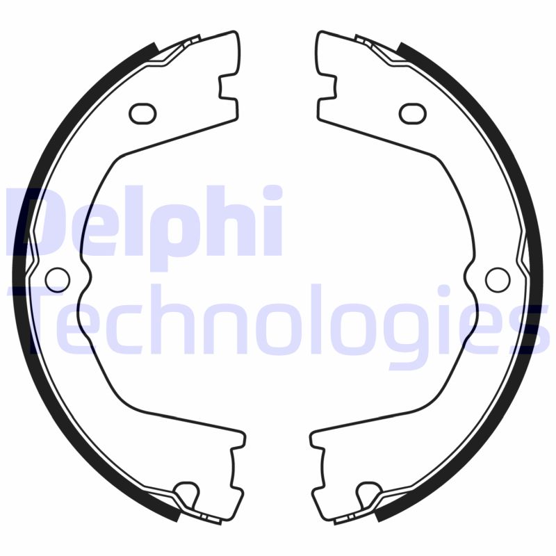 Remschoen set Delphi Diesel LS2178