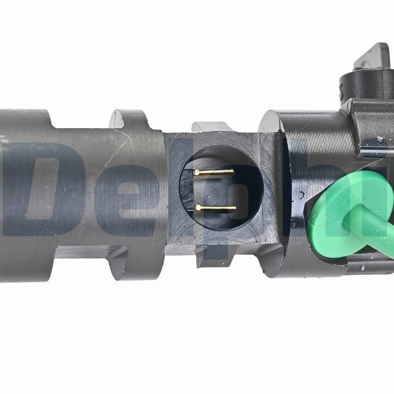 Delphi Diesel Injector R00101DP-12B1