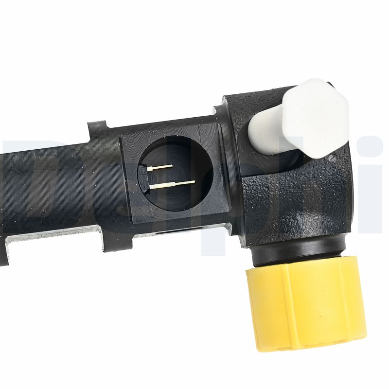 Delphi Diesel Injector R00301D-12B1