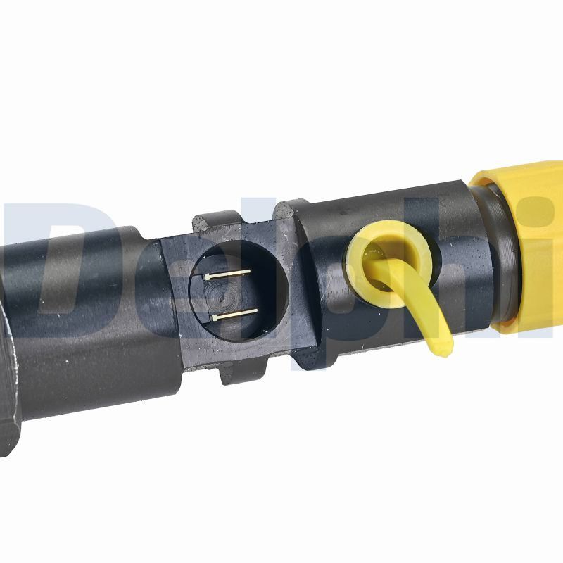 Delphi Diesel Injector R00504Z-12B1