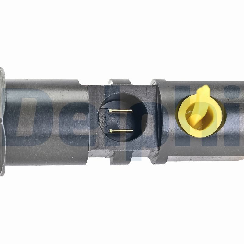 Delphi Diesel Injector R00601D-12B1