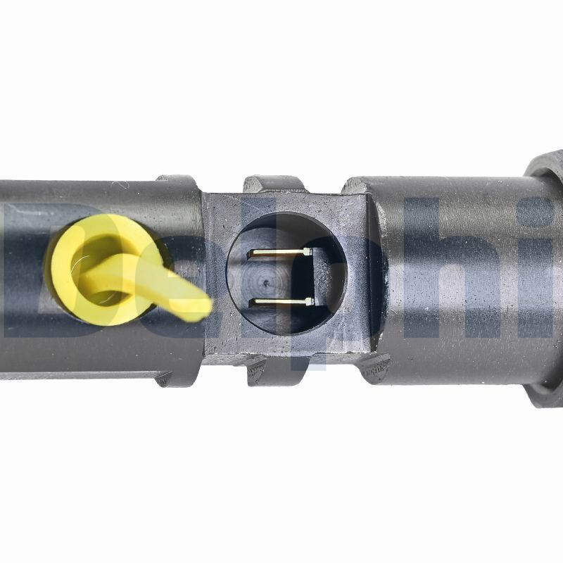 Delphi Diesel Injector R00701D-12B1