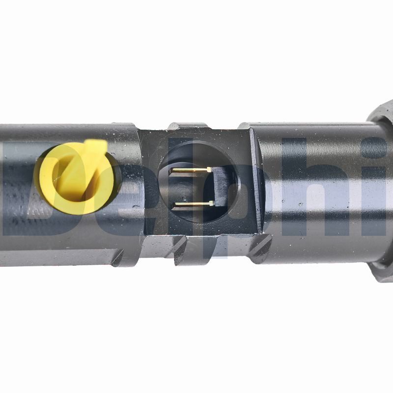 Delphi Diesel Injector R01101D-12B1