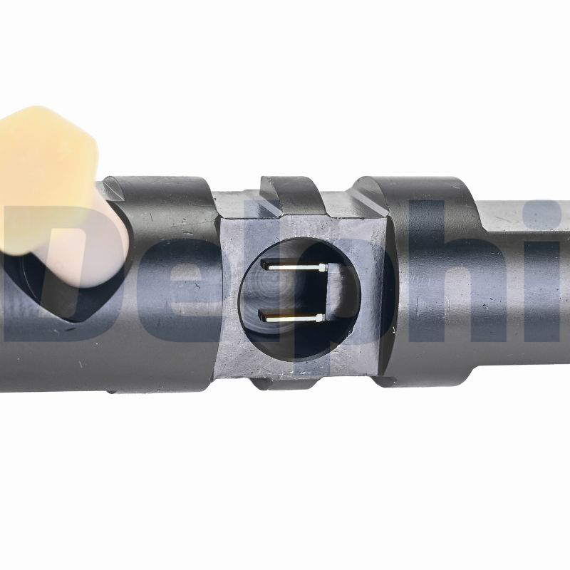 Delphi Diesel Injector R03501D-12B1