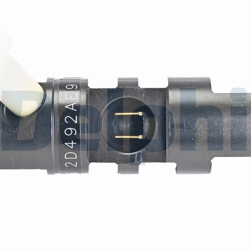 Delphi Diesel Injector R03701D-12B1