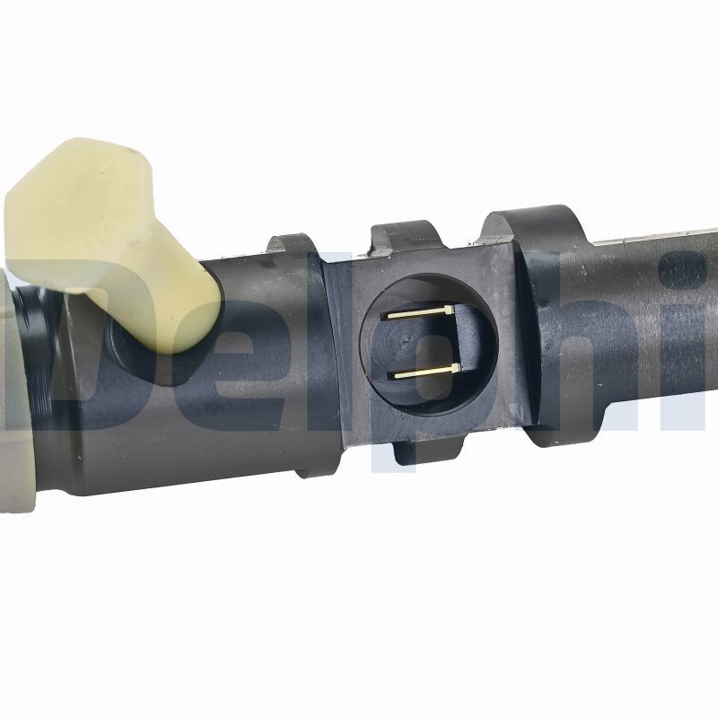 Delphi Diesel Injector R04701D-12B1