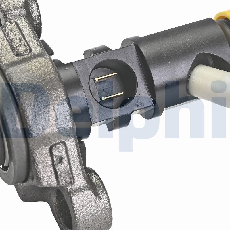 Delphi Diesel Injector R06001D-12B1