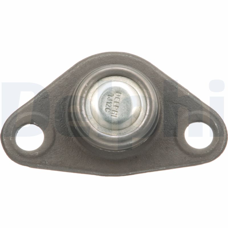 Delphi Diesel Fuseekogel TC418