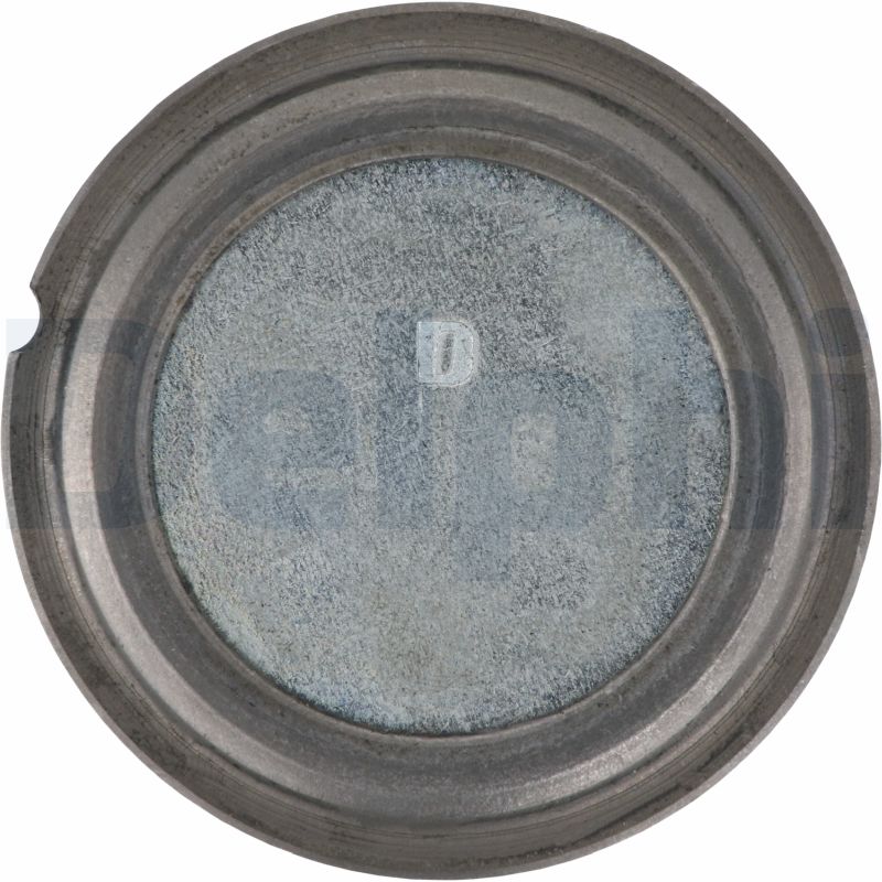 Delphi Diesel Fuseekogel TC836