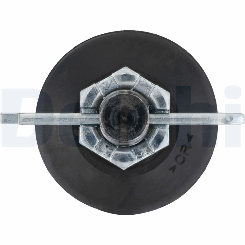 Delphi Diesel Fuseekogel TC836