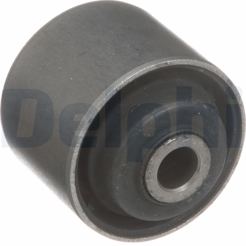 Delphi Diesel Draagarmrubber TD5569W